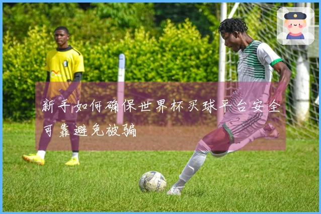 新手如何确保世界杯买球平台安全可靠避免被骗